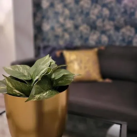 Un Ecrin Au Coeur Du Centre Duinkerke